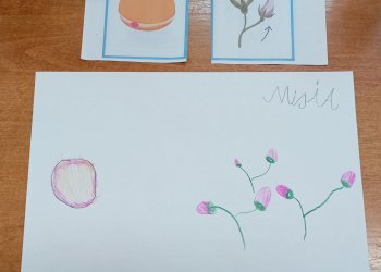 IMG_20240124_134043